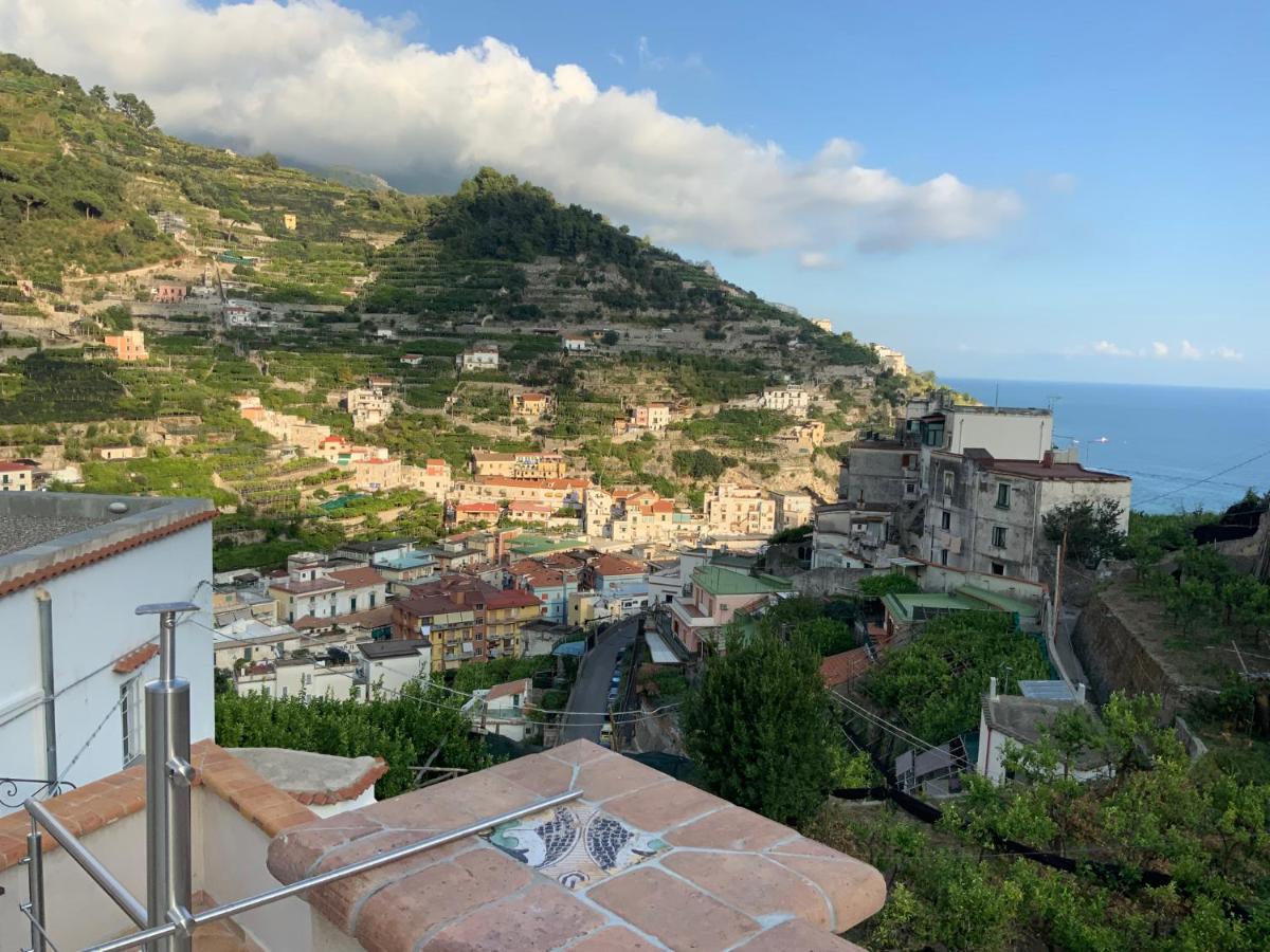 Bed & Breakfast La Zagara Minori